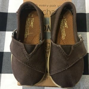 TOMS Chocolate Canvas